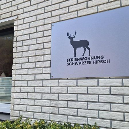 Ferienwohnung Schwarzer Hirsch Wieda Extérieur photo